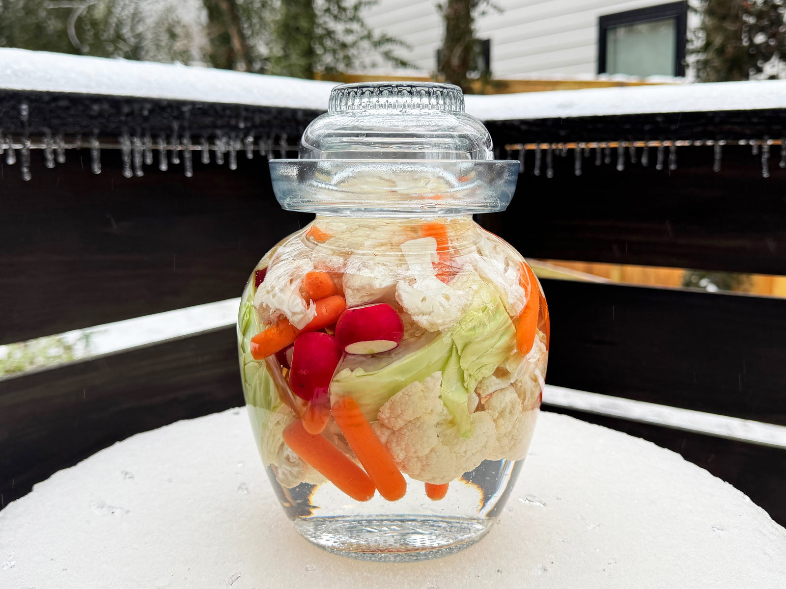 January 2026 Part 2: NEW Chinese Pickling Jars and Kits
