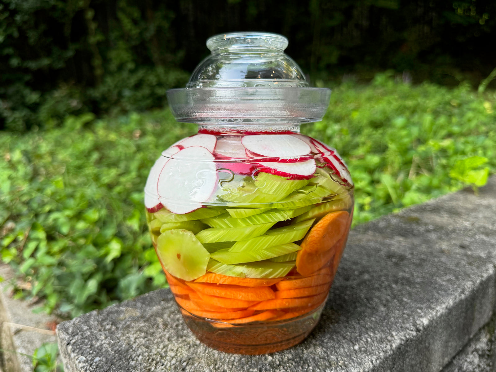 September 2024: Small-Batch Chinese Fermentation Jar + New Pickle Recipes