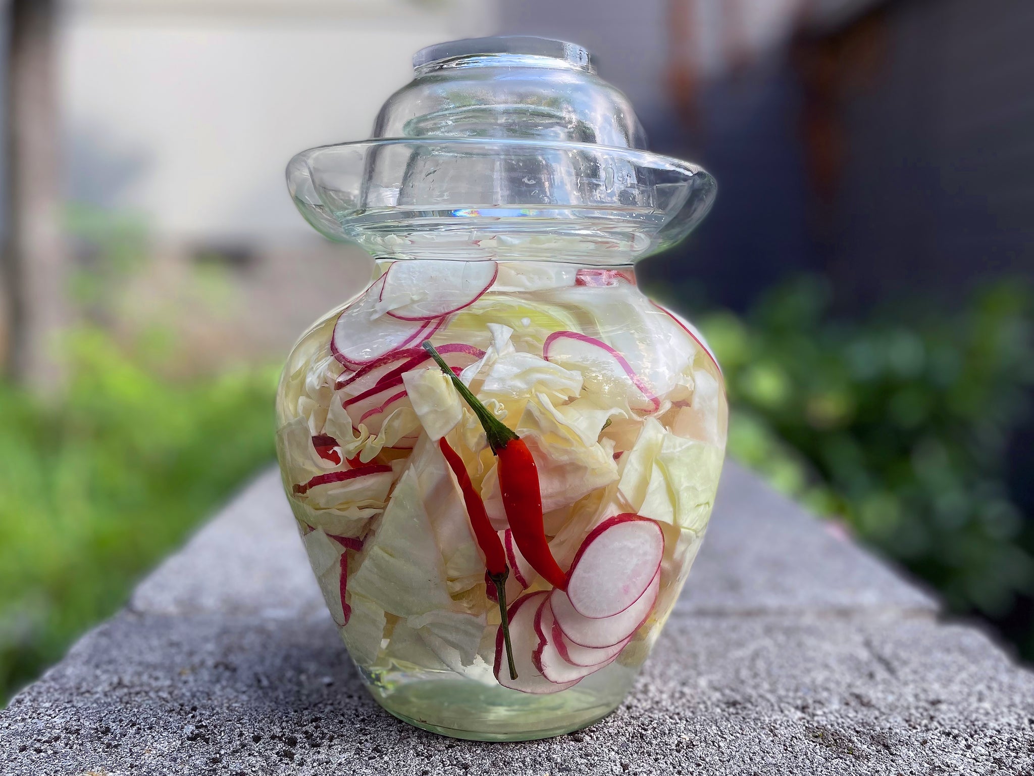 Sichuan Paocai Pickle Jar With Cabbage and Radish