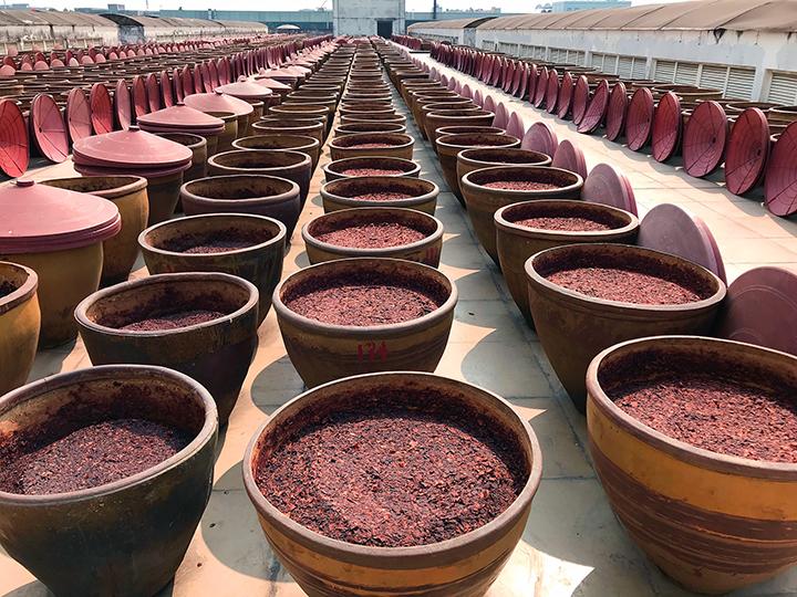 rows of clay crocks holding chili bean paste, with their lids off exposing the paste