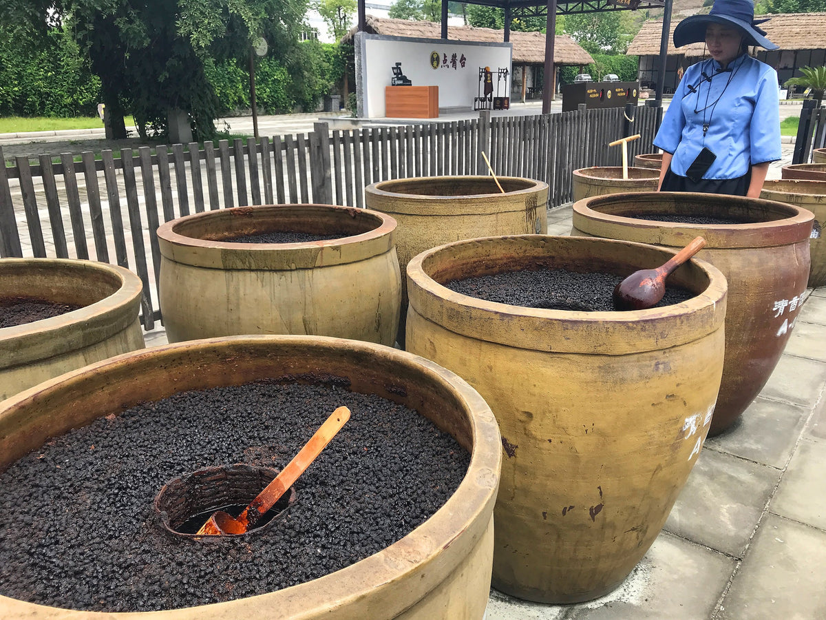 at the Zhongba soy sauce factory, a woman stands next to several open earthenware crocks of fermenting soy sauce with a layer of black soybeans visible on top